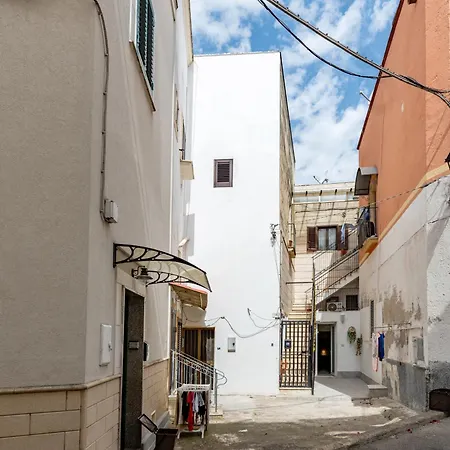 Sg Standard Tatil Evi